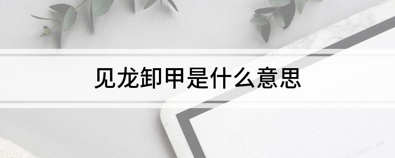 见龙卸甲是什么意思