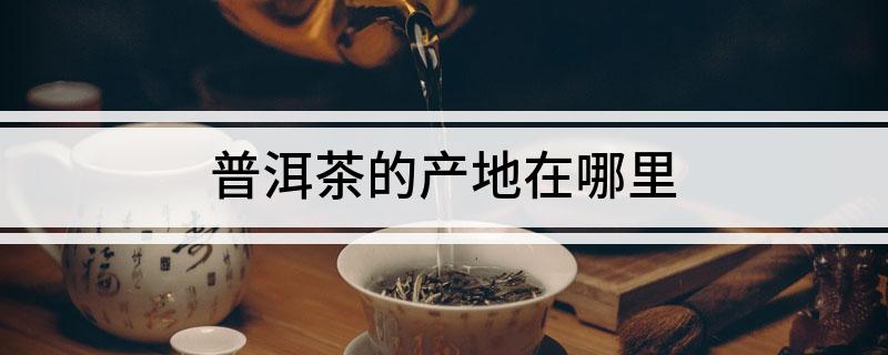 普洱茶的产地在哪里