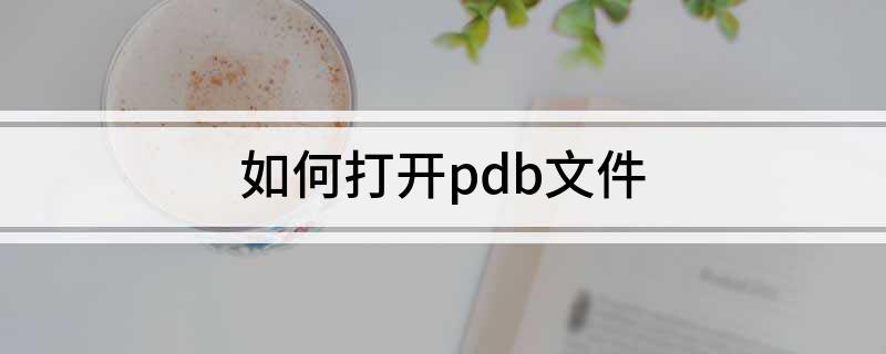 如何打开pdb文件
