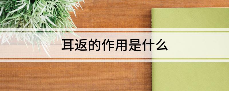 耳返的作用是什么