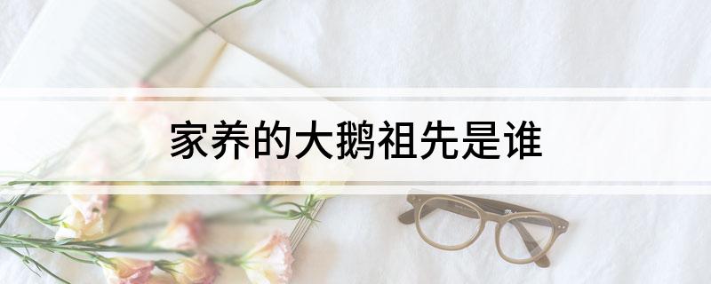 家养的大鹅祖先是谁