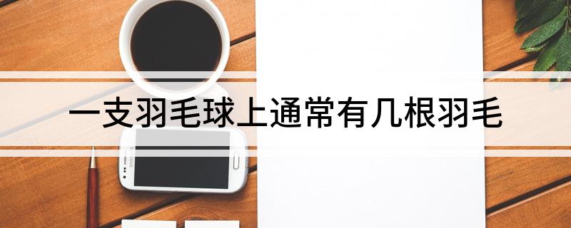 一支羽毛球上通常有几根羽毛