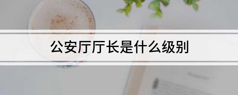 公安厅厅长是什么级别