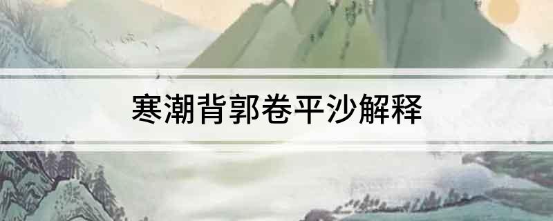 寒潮背郭卷平沙解释
