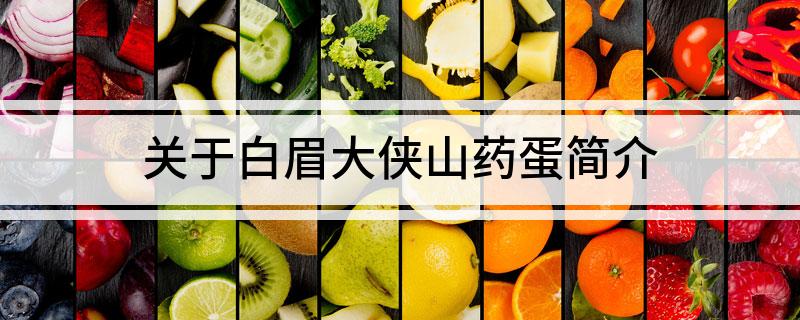 关于白眉大侠山药蛋简介