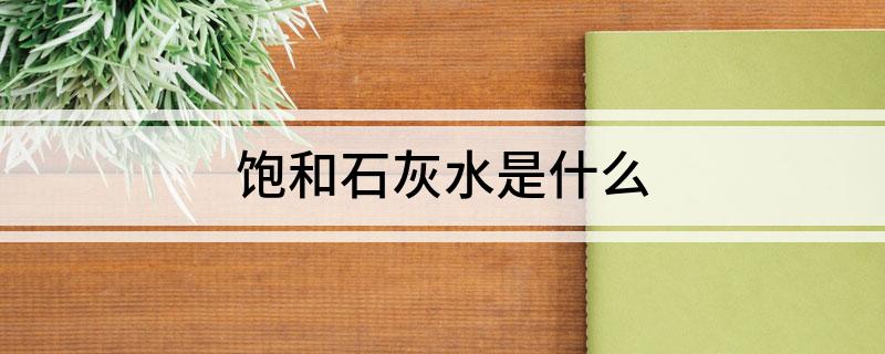 饱和石灰水是什么