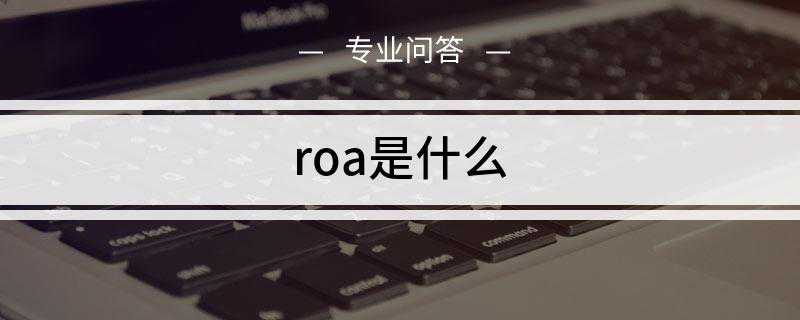 roa是什么