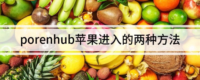 泼rnhub苹果怎么进入