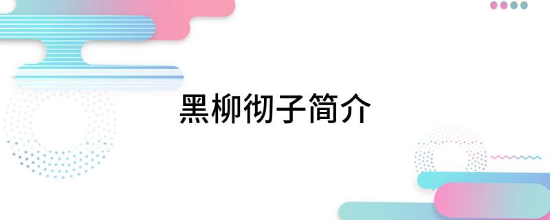 黑柳彻子简介