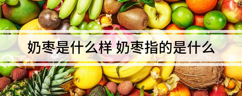 奶枣是什么样(奶枣指的是什么)