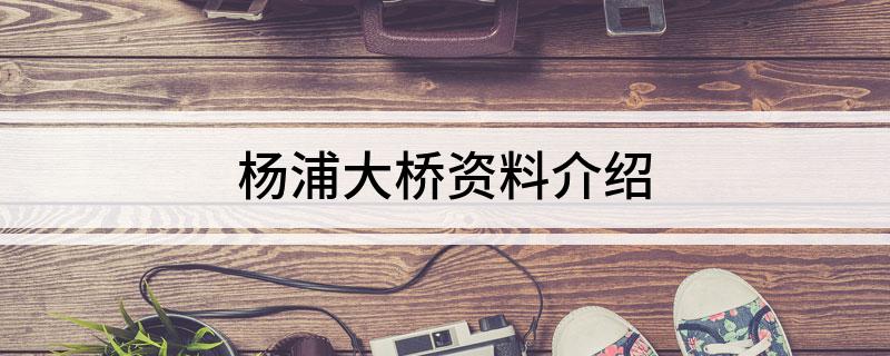杨浦大桥资料介绍