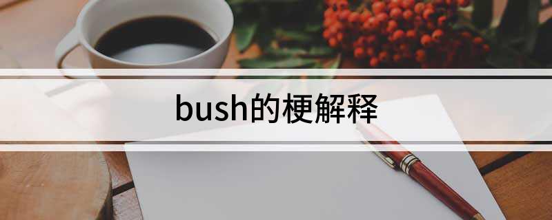 bush的梗解释