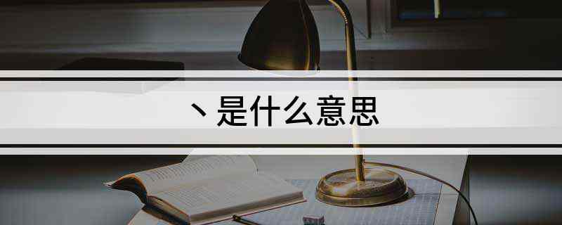 丶是什么意思