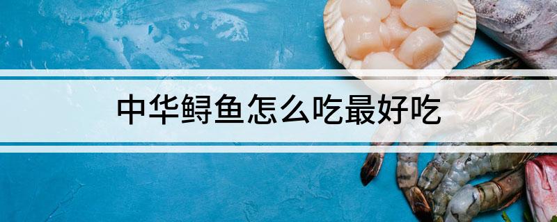 中华鲟鱼怎么吃最好吃