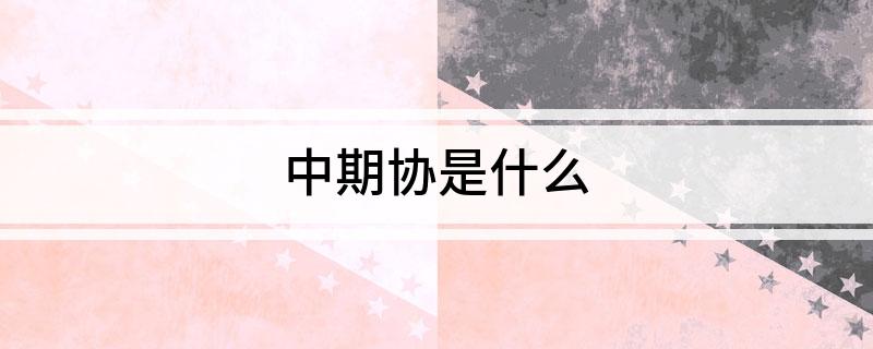 中期协是什么