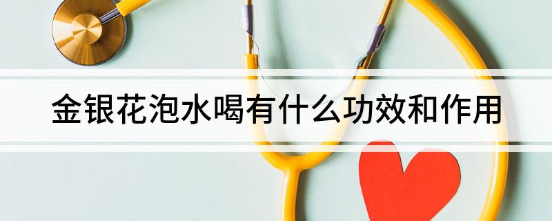 金银花泡水喝有什么功效和作用