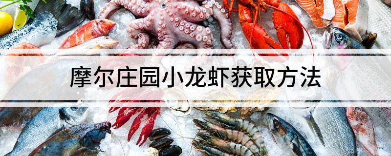 摩尔庄园小龙虾获取方法