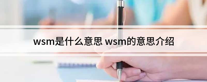 wsm是什么意思(wsm的意思介绍)
