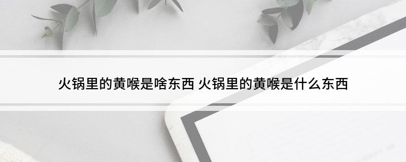 火锅里的黄喉是啥东西(火锅里的黄喉是什么东西)