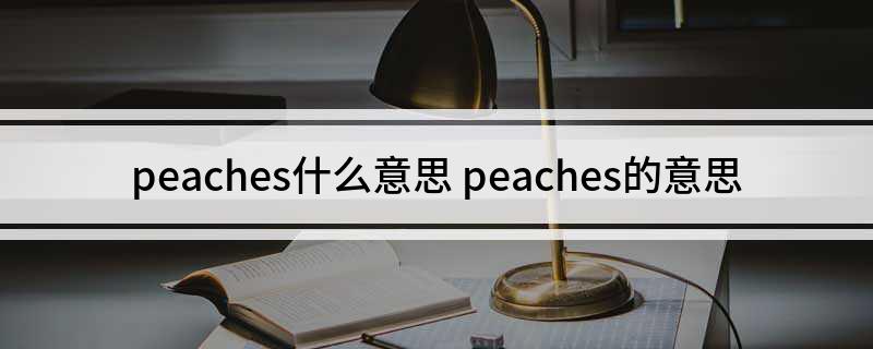 peaches什么意思(peaches的意思)