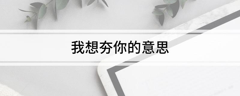 我想夯你的意思