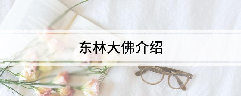 东林大佛介绍