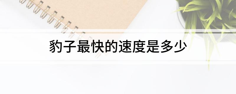 豹子最快的速度是多少