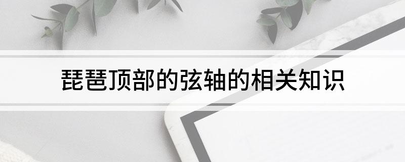 琵琶顶部的弦轴的相关知识
