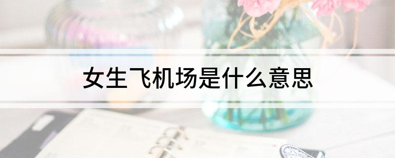 女生飞机场是什么意思