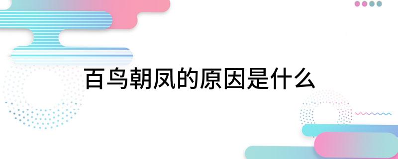 百鸟朝凤的原因是什么(原因是恩于凤凰的活命之恩)