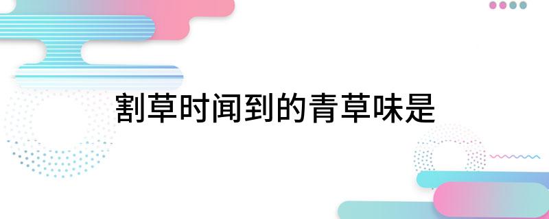 割草时闻到的青草味是