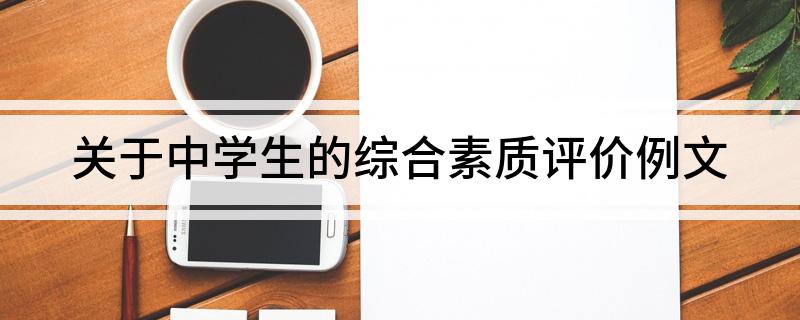 关于中学生的综合素质评价例文