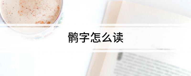 鹘字怎么读