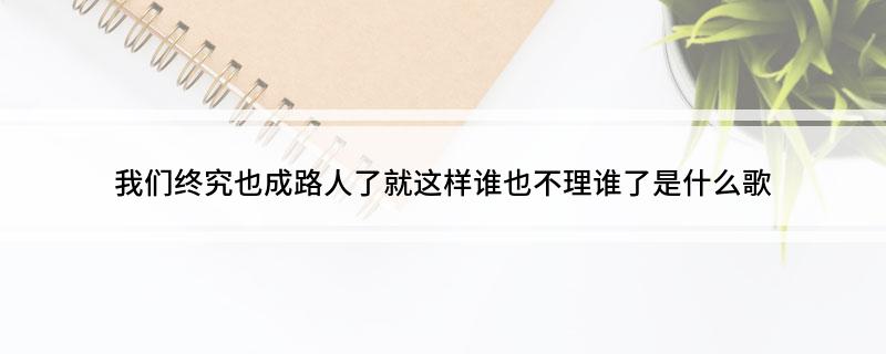我们终究也成路人了就这样谁也不理谁了是什么歌