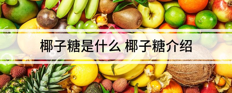 椰子糖是什么(椰子糖介绍)