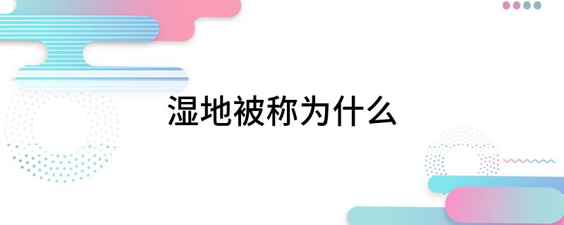 湿地被称为什么