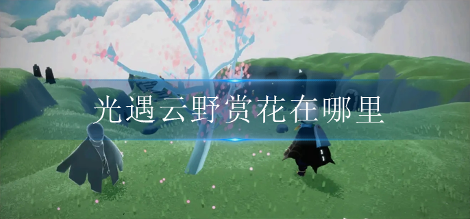 光遇云野赏花在哪(云野赏花地点)
