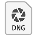 DNG ICON