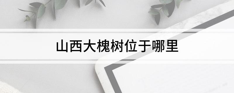 山西大槐树位于哪里
