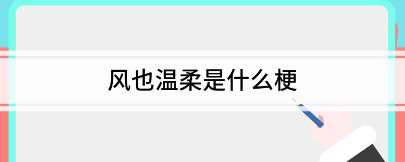 风也温柔是什么梗
