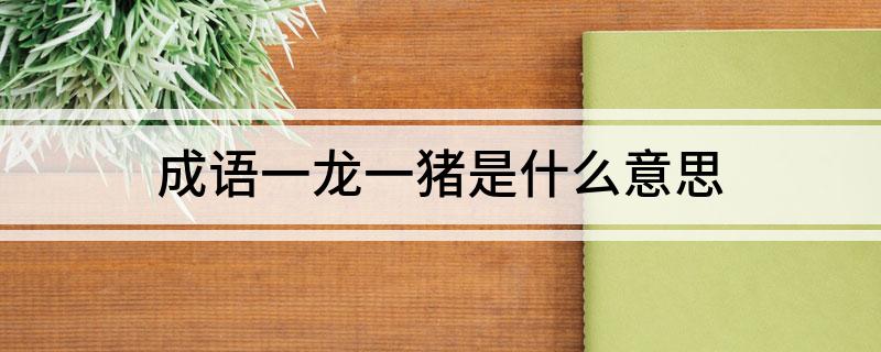 成语一龙一猪是什么意思