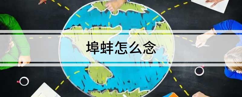 埠蚌怎么念