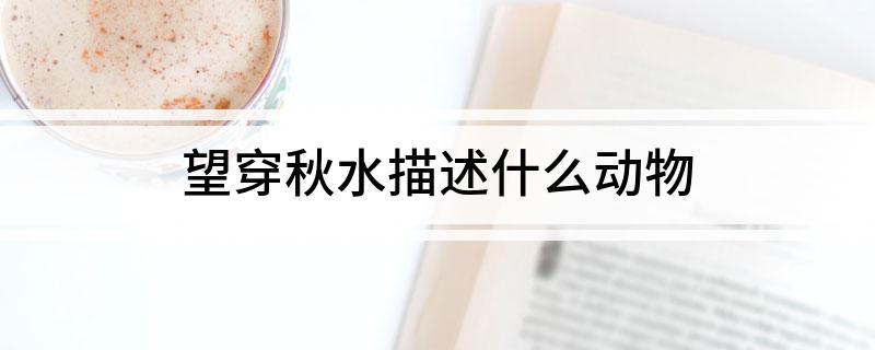 望穿秋水描述什么动物