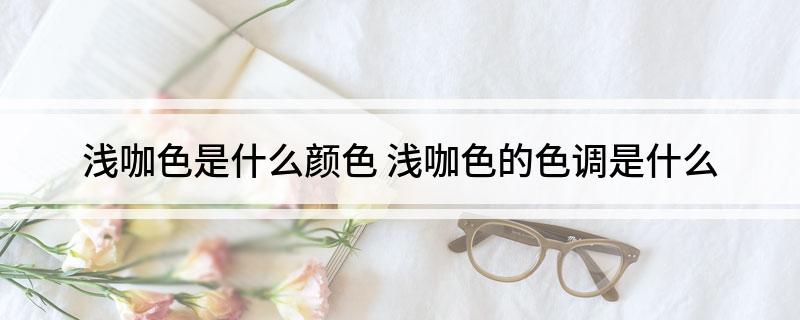 浅咖色是什么颜色(浅咖色的色调是什么)