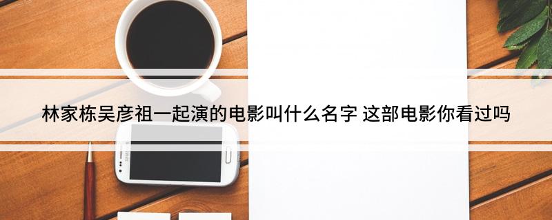 林家栋吴彦祖一起演的电影叫什么名字(这部电影你看过吗)