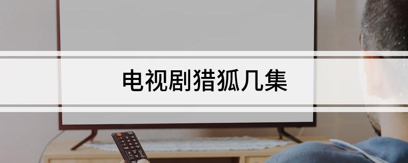 电视剧猎狐几集