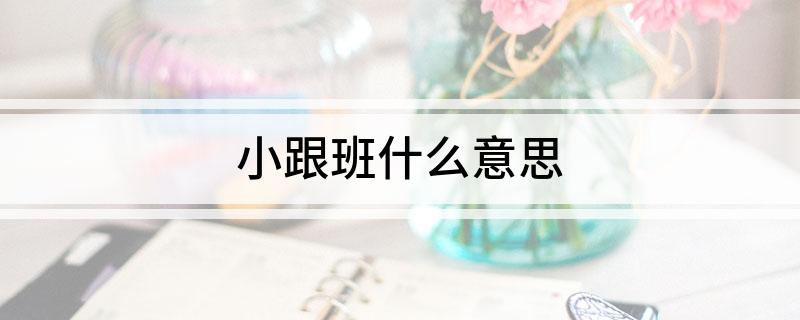 小跟班什么意思