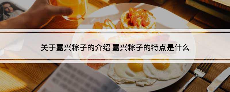 关于嘉兴粽子的介绍(嘉兴粽子的特点是什么)