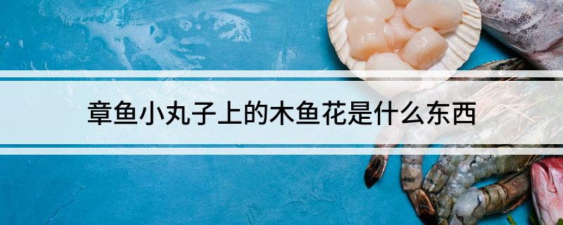 章鱼小丸子上的木鱼花是什么东西