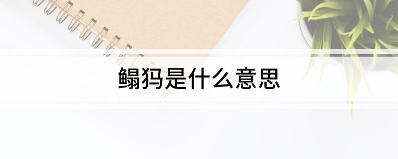 鳎犸是什么意思
